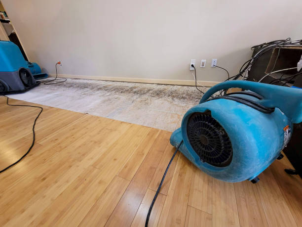 Professional Sewage Cleanup technician working in Andover, OH